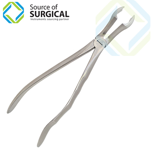 Pinzas de Extracción Dental, Modelo Inglés, Quirúrgicas, para Cirugía Oral, Pinzas de Extracción para Adultos, Plateadas, Manuales, con Certificación CE - Product Image 4