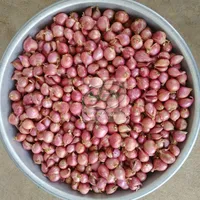 Süd indisches Gemüse Kleine Zwiebel Exporteure/Lieferanten/Großhandel In Indien