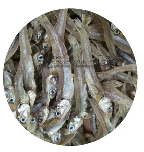 Pesce acciuga essiccato al sole di prima qualità/pesce Kapenta essiccato/Ms. Lima 84 346565938