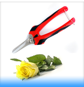 Bypass Sécateur - Product Image 4