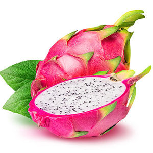 FRUITS de DRAGON frais du vietnam 2022 - Product Image 1