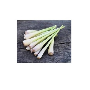 Citronnelle fraîche et congelée du Vietnam Épices d'herbes tranchées crues certifiées ISO conservées avec de l'huile - Product Image 1