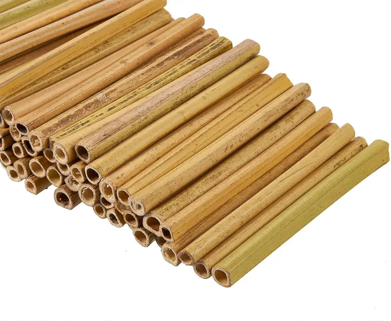 Bamboo Stick Stake Natural for Agriculture and Horticulture / Ms.May + 84 904183651