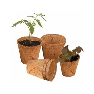 Wholesale Coir Fibre Pot From Vietnam/ For Greenlife Ms Rachael 0868235890 Ws