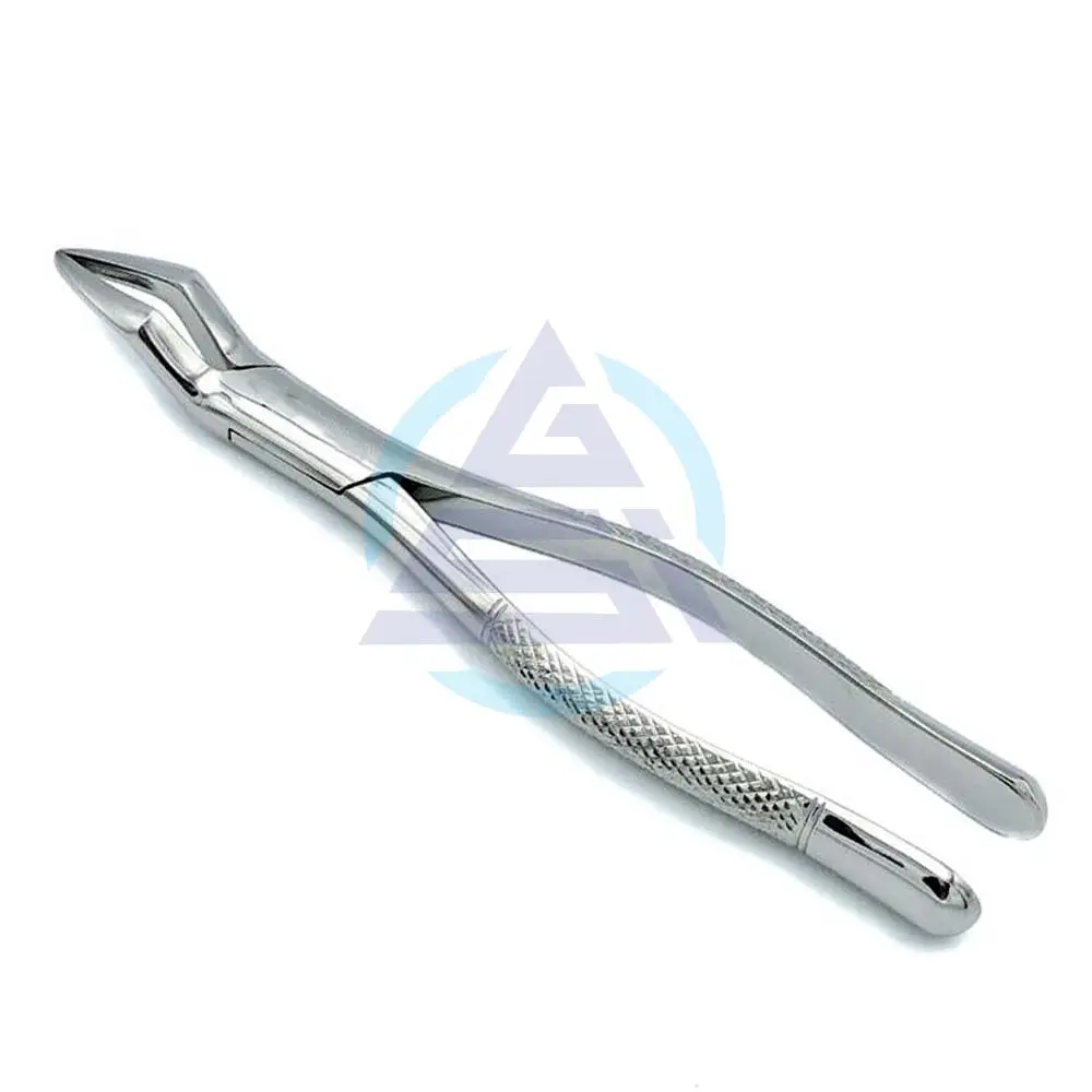 Incisor Tooth Extracting Forceps Stainless Steel Equine Dental Tooth Extracting Instruments Horse Tooth plier Forceps