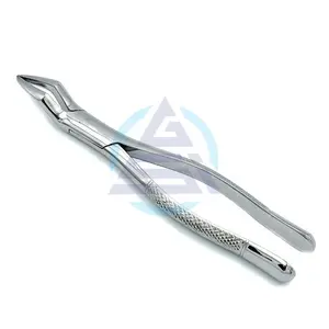 Forceps d'extraction dentaire GOLDEN Incisor en acier inoxydable, instruments dentaires équins, pince à dents pour chevaux GSIB-100220 - Product Image 1