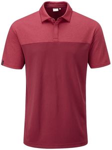 Camiseta de Golf de Lona de Poliéster con Estampado Digital Personalizado, Ligera, Antiarrugas, con Botones, Manga Corta, Lisa, para Hombre y Mujer - Product Image 2