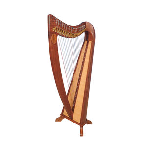 22สายกลมพิณหลังไม้ชิงชัน - Product Image 1