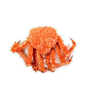 Crabe rouge FROZEN KING/<span class=keywords><strong>ALASKA</strong></span> KING, 9 pièces, banderoles pour natation, CANADA/bleu, en vente