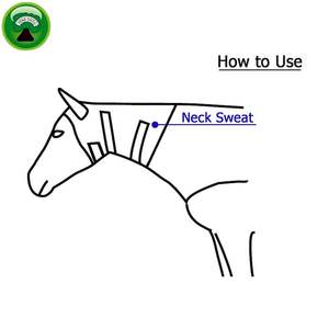 Equipo de caballo de lana de neopreno jowl, envoltura para el sudor - Product Image 4