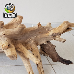 Top Desain Aquarium Aquascape Akar Laba-laba Kayu Apung Kualitas Tinggi untuk Tangki Tanaman Akuarium dari Jawa Tengah Indonesia