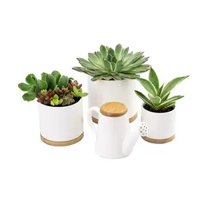 4pcs Small Ceramic White Planter Pots with Bamboo Trays and Matching Watering Can