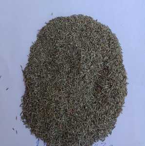 Tomillo, oferta - Product Image 2