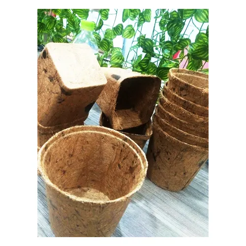 Maceta de fibra de coco de VIETNAM, ecológica, NATURAL, BIODEGRADABLE, COMPOSTABLE (Lee Tran: 0084987731263)