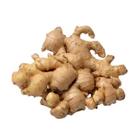 Fresh Ginger Ready to Export for Europe