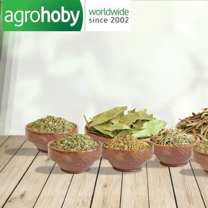 THYM SEC NATUREL TURC DE QUALITÉ SUPÉRIEURE AgroHoby, certifié ISO, 1 kg, 10 kg/carton - Product Image 2