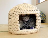Wasser hyazinthe natürlich gewebtes Rattan Korb weide handgemachtes Haustier Hausbett für Hunde und Katzen bilden 99 Gold daten 99GD