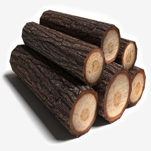 Beech <b>Logs</b> 3m+/30cm+ for SALE - Product Image 2