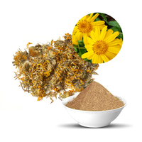Extrait de plantes du fabricant indien Arnica Montana Flower Powder pour la croissance et le conditionnement des cheveux