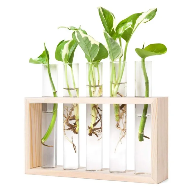 modern wall hanging glass flower pot cultivation station wood tube rack