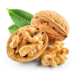 High Quality Walnuts in Shell