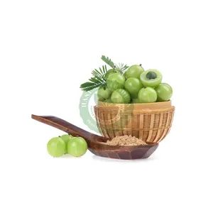 100% Natural Indian Gooseberry Amla Powder For Hair Growth Buy From Trusted Supplier from India