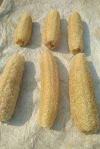 100% NATURAL RAW <b>LOOFAH</b> SIZE 20-50 CM (4-7 CM) in VIETNAM USED WASHING and BATH - Product Image 2