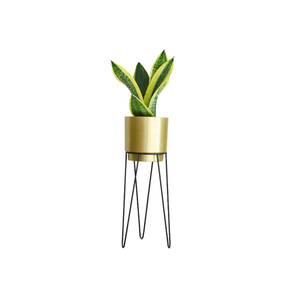 Jardinière en métal chromé, design moderne, écologique, durable, de bonne qualité pour la décoration du jardin et de la maison à prix avantageux - Product Image 2