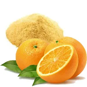 BEST PRICE OFFER - WHOLESALE ORANGE PEEL POWDER (Ms. Jennie)