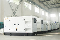 Générateur diesel Weiman VMAN haute puissance 250 kW, groupe électrogène de secours 300 kVA