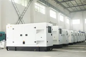 Weiman VMAN 디젤 엔진 250kw 디젤 엔진 발전기 300kva 대기 힘 genset