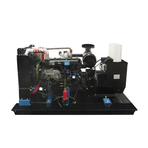 Generatore diesel libero del magnete permanente del generatore 250 kva di elettricità