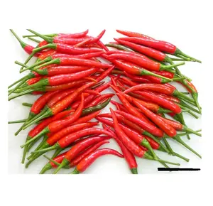 Best Selling Bevroren Chili Voedsel Beste Prijs Freeze Rode Chilipeper Hoge Kwaliteit Bevroren Hete Rode Chili Uit Vietnam