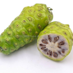Prix du poudre de noni / Fruit de noni / Prix de la poudre de noni en 2023 - Product Image 4