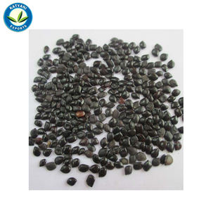 Aceite Esencial de Psoralea Corylifolia, 100% Natural puro, orgánico, Babchi, venta al por mayor - Product Image 4