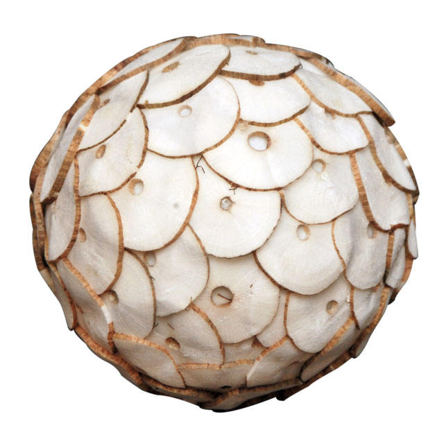 สีโซลาธรรมชาติ