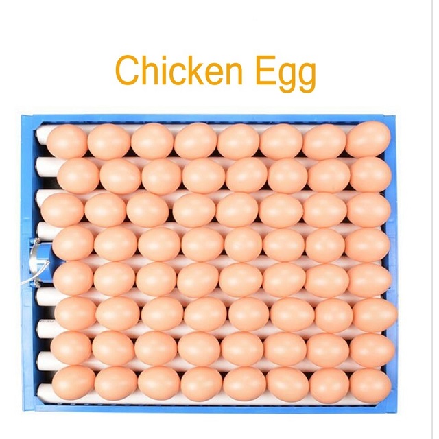 Акция со скидкой 30%, куриные яйца и свежие куриные яйца на стол для продажи по лучшей рыночной цене