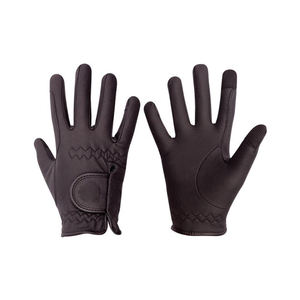 Gants d'équitation de performance isolés Gants high-tech conçus pour une performance ultra lisse et confortable dans des conditions froides - Product Image 1