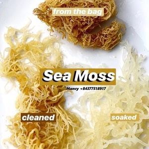Algues marines séchées sans sel / Gel d'algues marines irlandaises du Vietnam / Amy +84 383 655 628 - Product Image 4