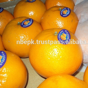 Kino Kinnow Segar Jeruk Keprok Jeruk Buah Jeruk dari Pakistan
