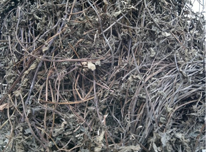 เจลลี่หญ้าดําแห้งและแท่ง ราคาดีที่สุด 2024 - Product Image 2