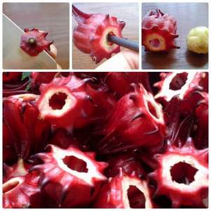 ATISO ALTA CALIDAD-EL MEJOR PRECIO 2024 - Product Image 6