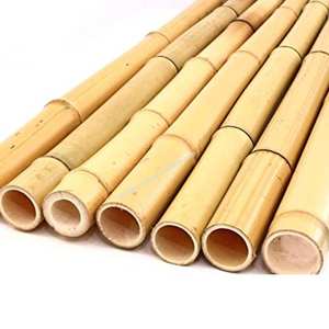 Bamboo <b>Pole</b> for Construction/ Bamboo <b>Pole</b> Natural Vietnam for Using at Agriculture, Construction - Product Image 6