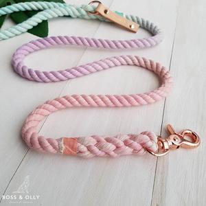 Correa de cuerda de algodón trenzado para perros pequeños Correa de perro - Product Image 1