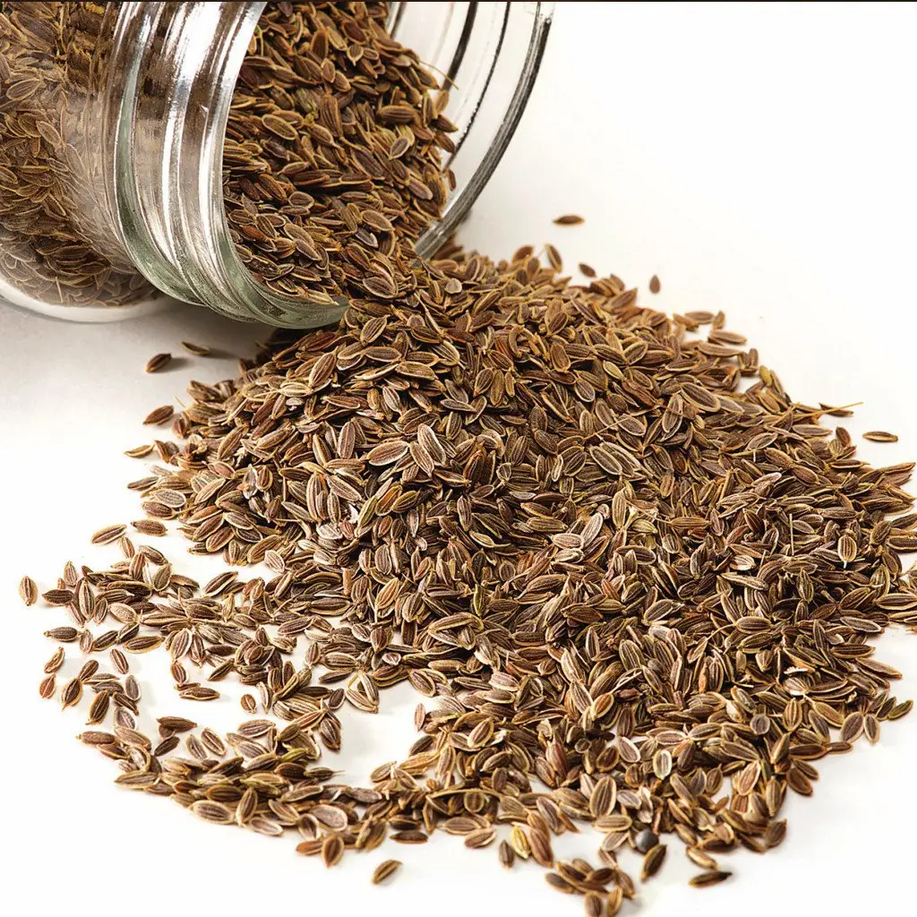 Dill Seed Organic Essential Oil For Reducing Cholesterol