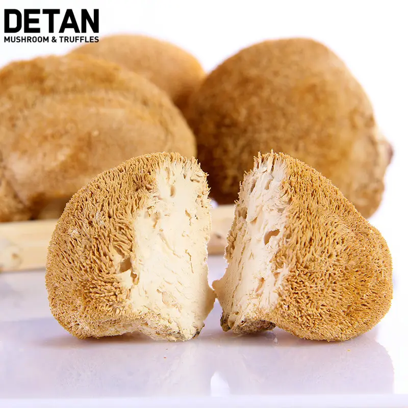 Detan Chinese High Quality Dried Mane Lion Mushroom for Export