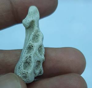 Bijoux en corail blanc naturel brut de designer, certifié IGI, personnalisé - Product Image 2