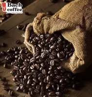 Supplies Coffee Beans Arabica Robusta Liberica Pea berry /All Roast level / OEM design / Fair - direct Trade / Low shipping cost