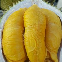 Verse Durian Gouden Kussen Durian / (Ms) Kio Huynh