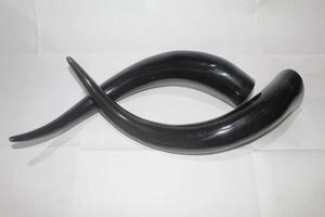 Viking Corne À Boire 100% alimentaire - Product Image 3